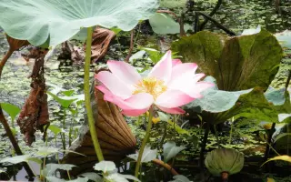 Travel Thailand — รูปที่ 4