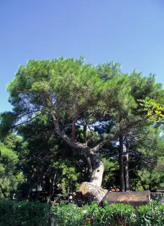 nostalji kuaför antalya