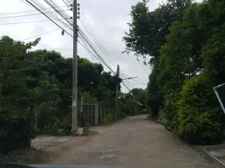 Ban Dxk Daeng Snga Ban