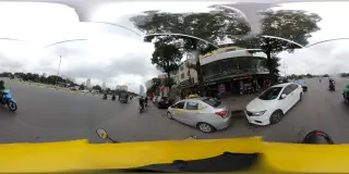 Mầm Non Hoa Mặt Trời