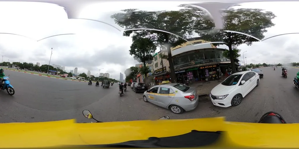 Mầm Non Hoa Mặt Trời