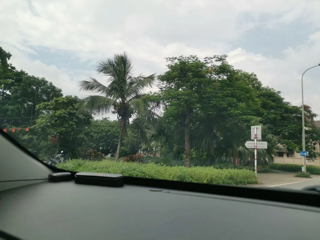 Trâu Tươi Quán