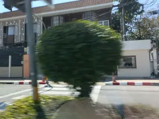 Pordpran Khaw Puk Nga Cheiynghim