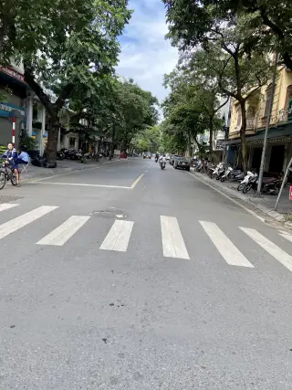 Viet Hoang Bich