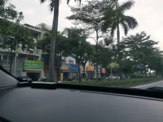 Vua Sàn Gỗ