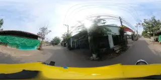 Trà sữa Cỏ Ba Lá