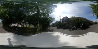 Unggas Pedaging