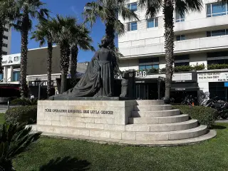 Wonder Medical Turkey