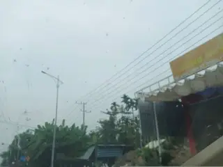 Tường Apple