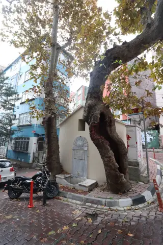 Makarna Fırını Beşiktaş — фото 3