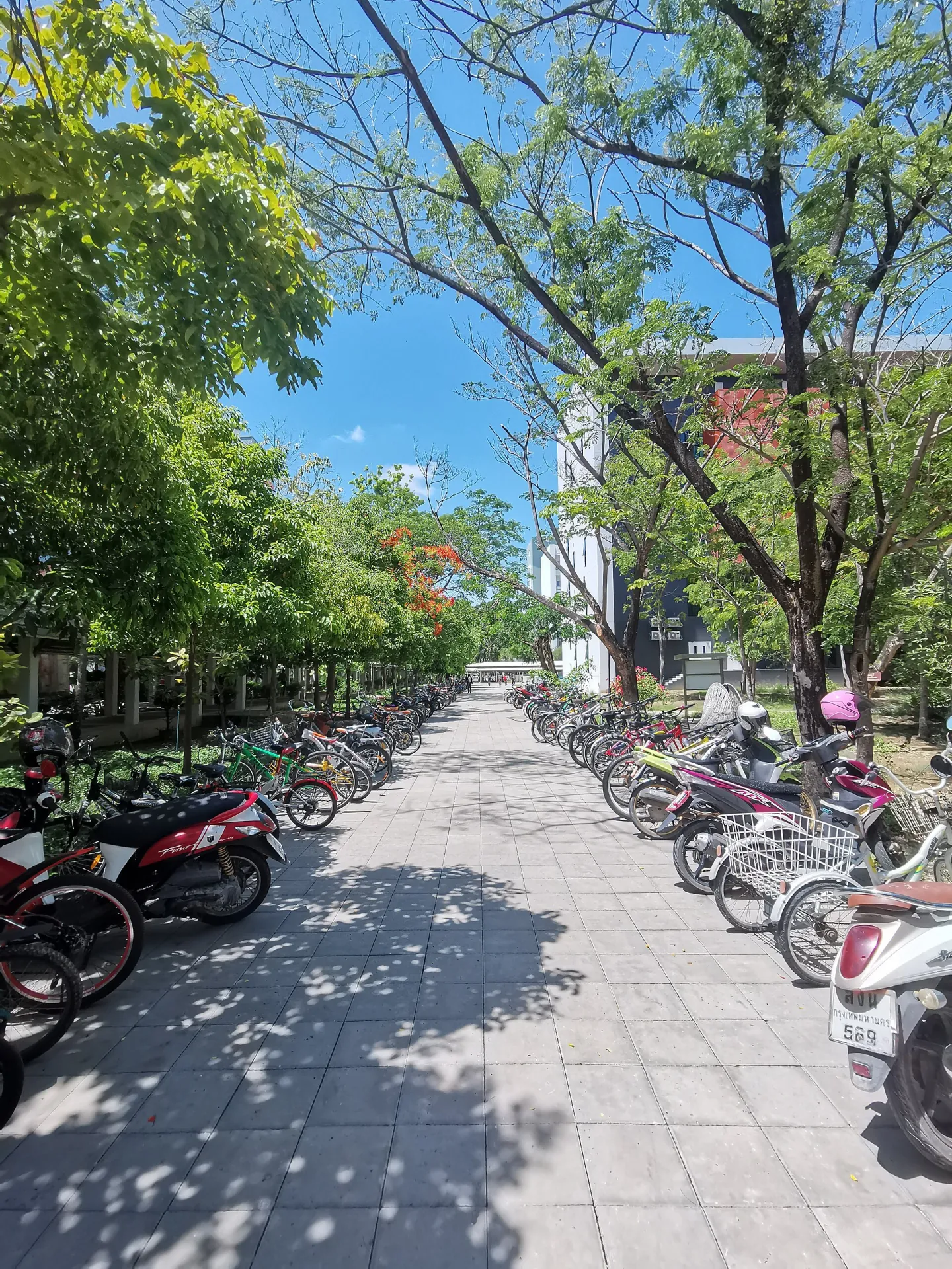 King Mongkut's University of Technology Thonburi