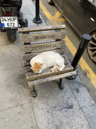 Ortaköy Tekel Mrket