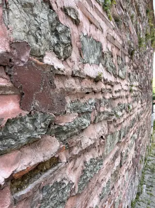 Beylerbeyi Doğa Balık