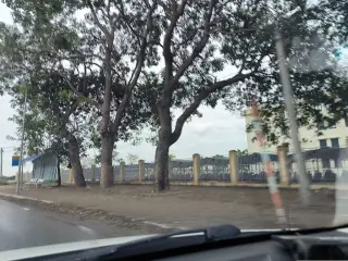 Trường THPT Nguyễn Văn Trỗi