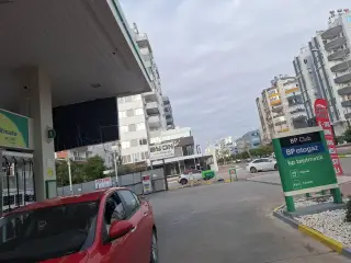 Meydankavağı ENTTA Veteriner Kliniği