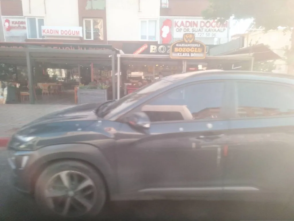 levent börekçilik antalya