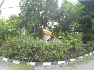 Restaurant mutiara