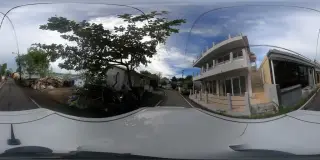 Manta Mae