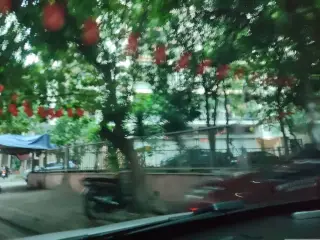 Trường Mầm Non Hoa Hướng Dương