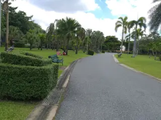Swnctucakr