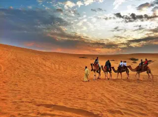 Desert Safari Adventure Tour Dubai