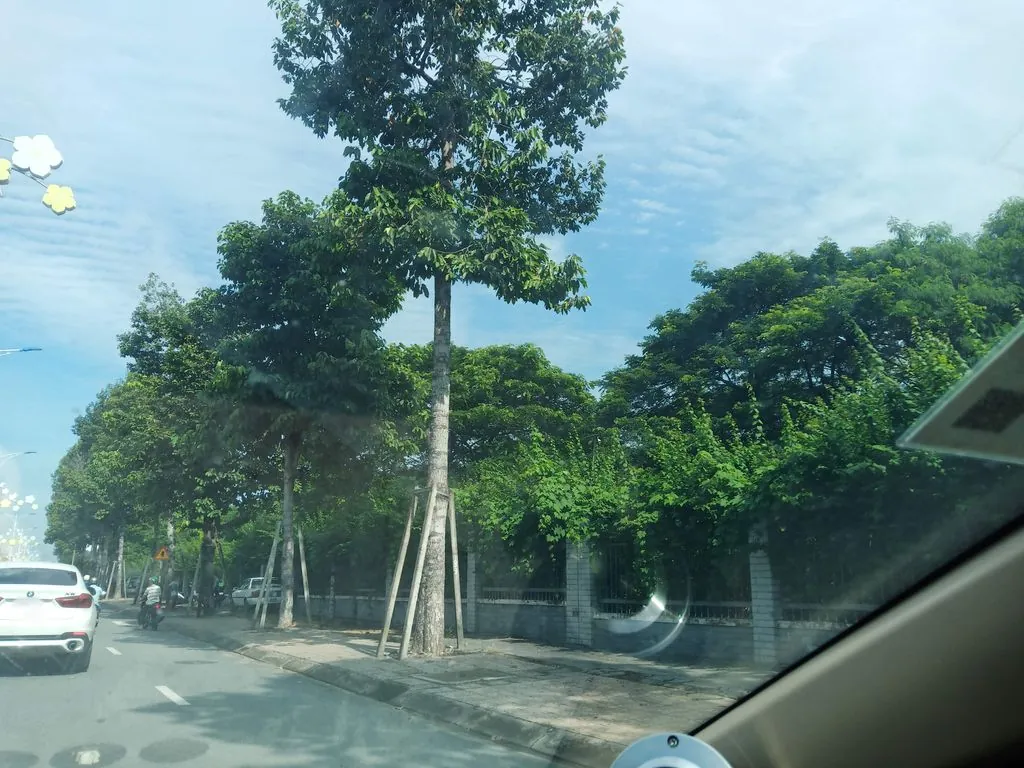 Quán Tư Nhớ-Bình Dương