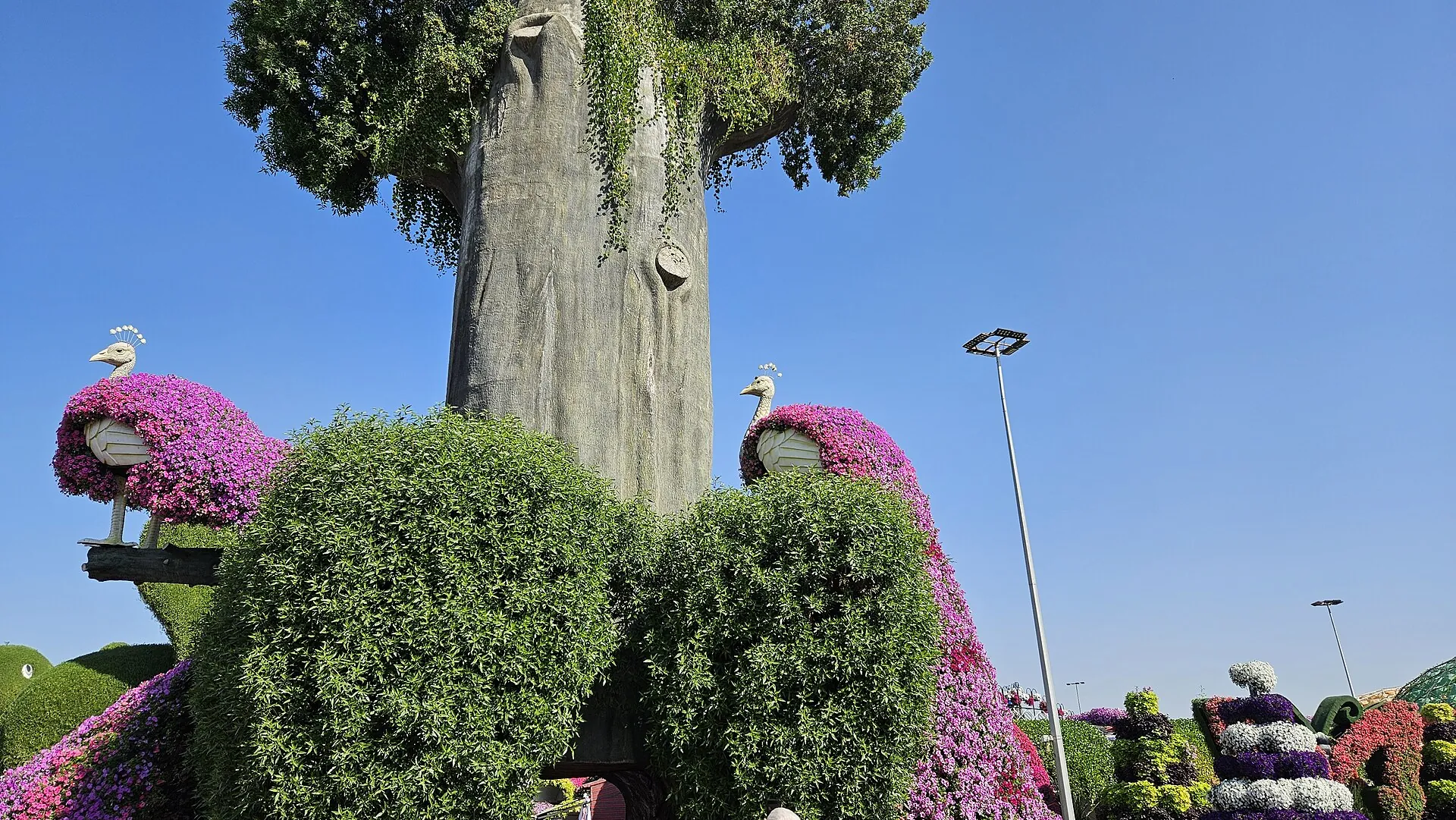 Dubai Merical Garden