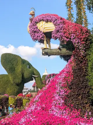 Dubai Merical Garden — photo 2