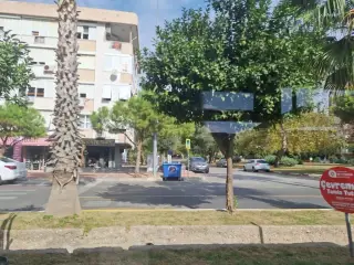 Parkeczanesi