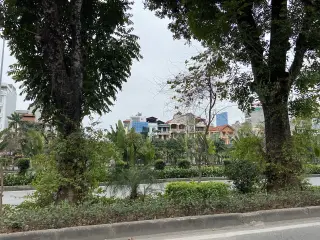 Royaltea Pháo Đài Láng — photo 3