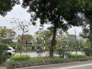 Royaltea Pháo Đài Láng — photo 4