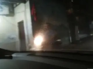 Trái cây Tú Lâm