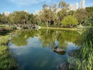 Bahçeşehir Gölet Park — фото 2