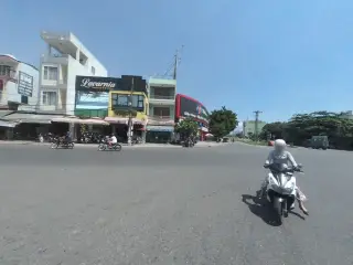 Gỗ cà phê