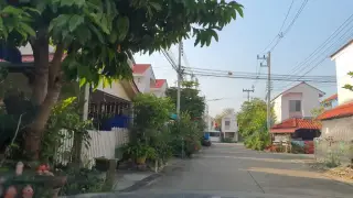 Shark Cha Cha Nm Ti H Wan Sakha Tn Pea Sankaphaeng