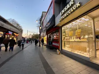Yeni Dünya Vakfı