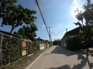 Moose slow bar