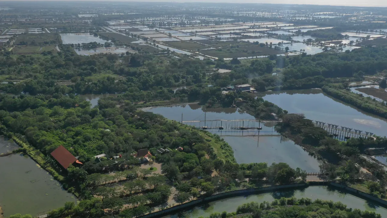 Mangrove Wonorejo Ecotourism
