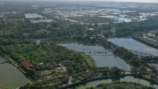 Mangrove Wonorejo Ecotourism