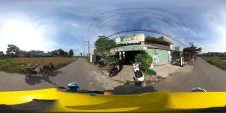 Coffe Cội