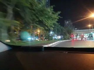 Gỏi Cá Mè Huy Sẹo