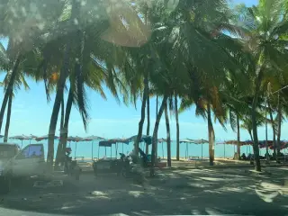 Seaside Cafe