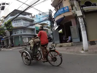 Cúc Hoạ Mi