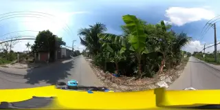 Hàu Sữa Nhật Nướng