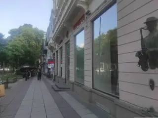 Mose Toidze Museum
