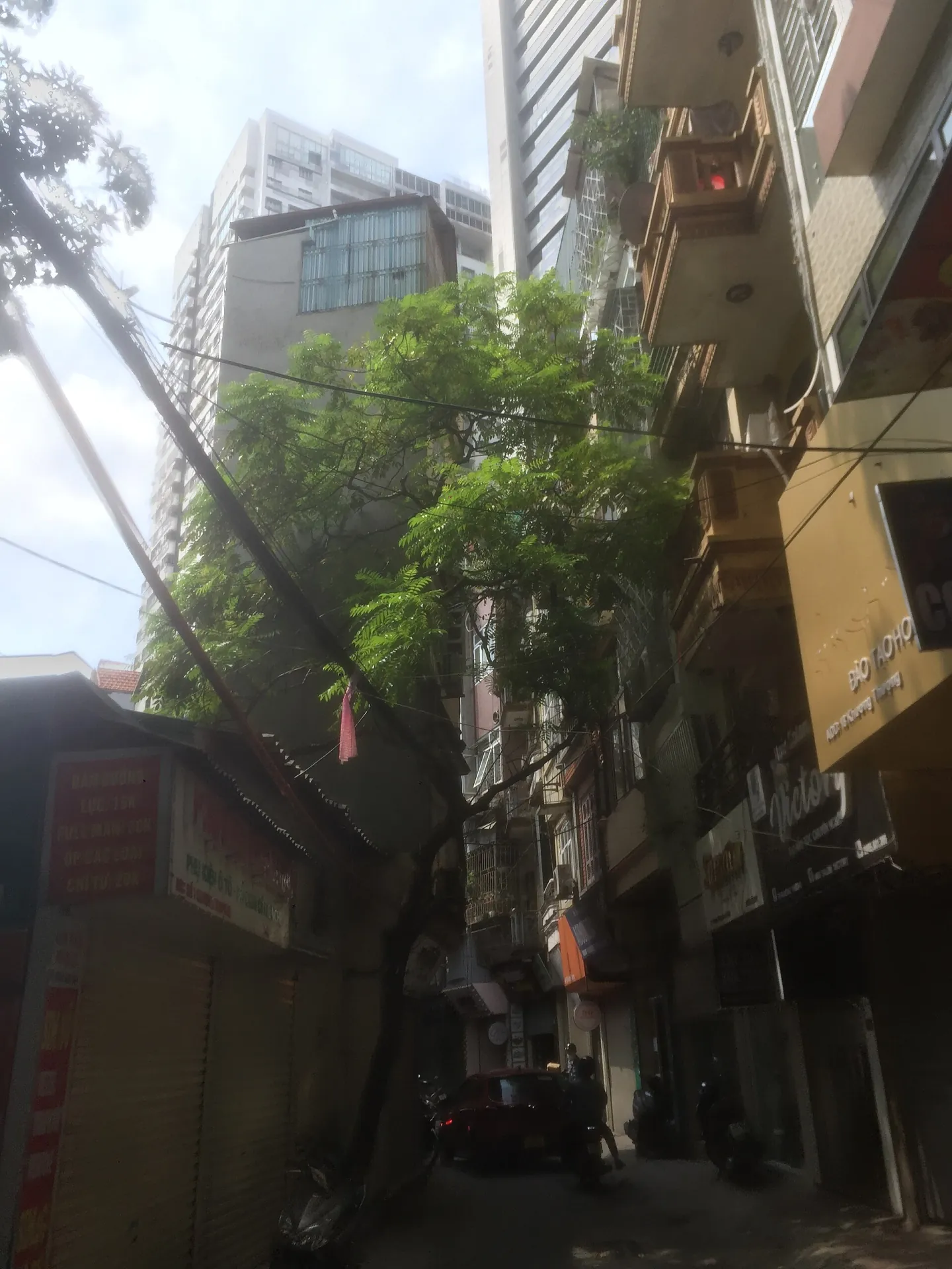 Magnolia Hanoi