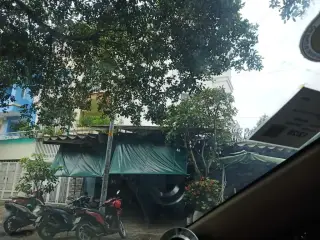 Nấm Linh Chi Bình An