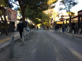 Galata Çaycısı
