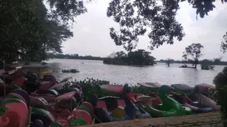 Taman Wisata Air Situ Cipondoh 2016