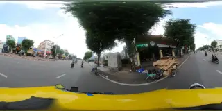 Còi - thế giới Cói